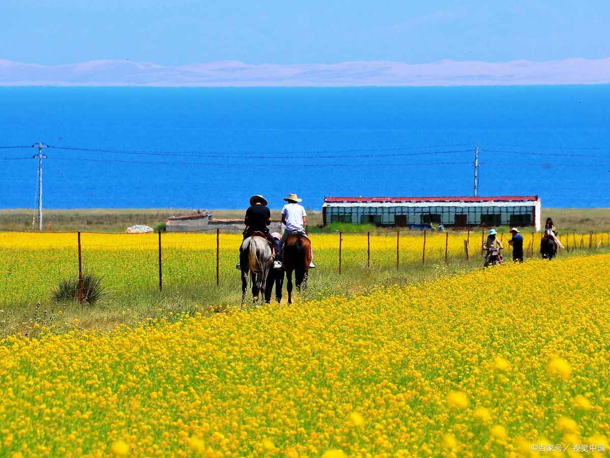 6月份的青海湖